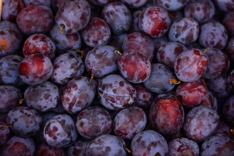 Fresh Organic Produce